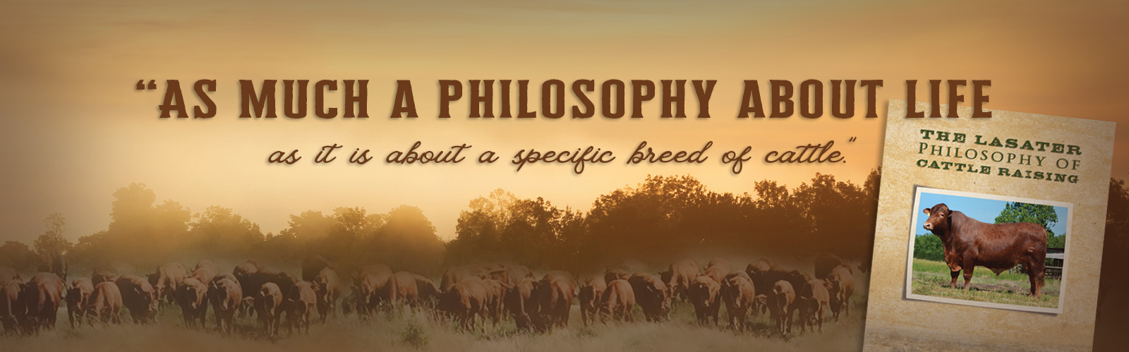 store-slider-2Philosophy