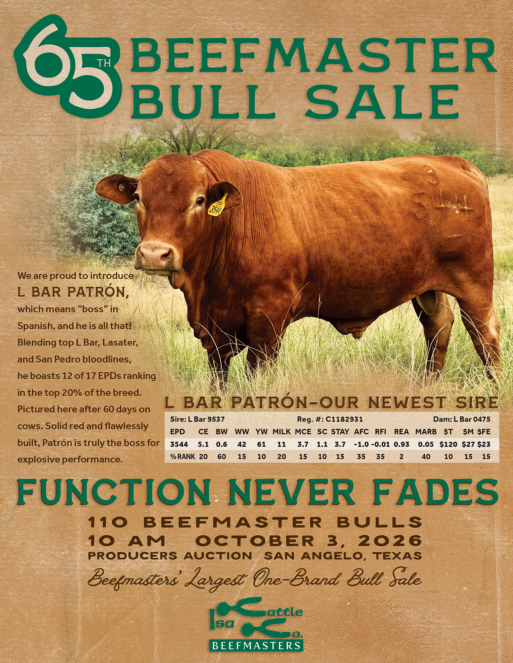 Isa Beefmasters 65th Beefmaster Bull Sale