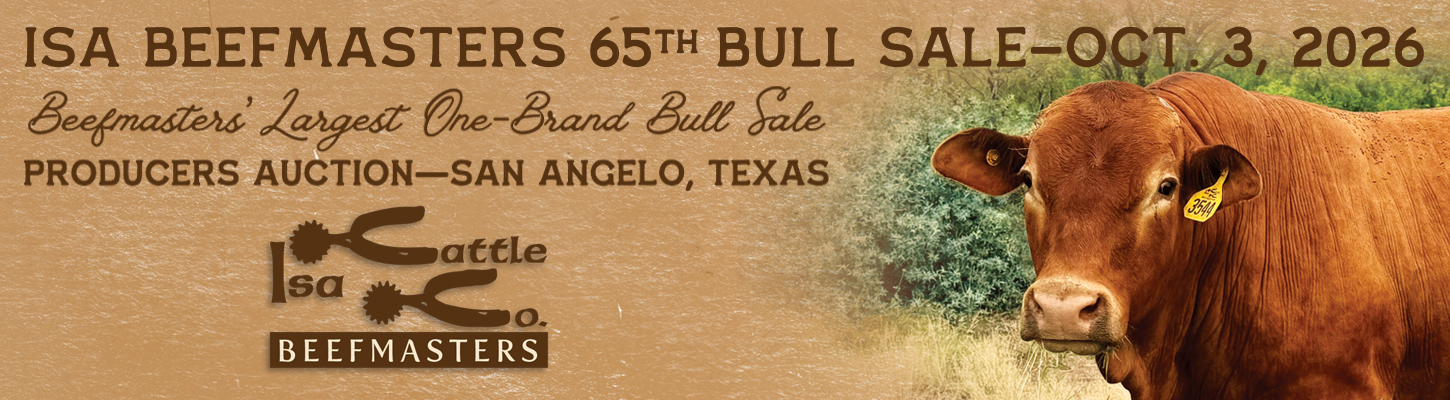 Isa Beefmasters 65th Beefmaster Bull Sale